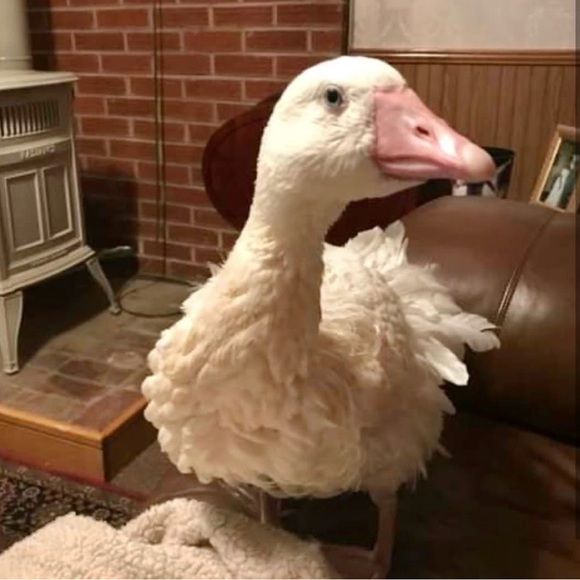 Welcome! - Picture 8 of 16